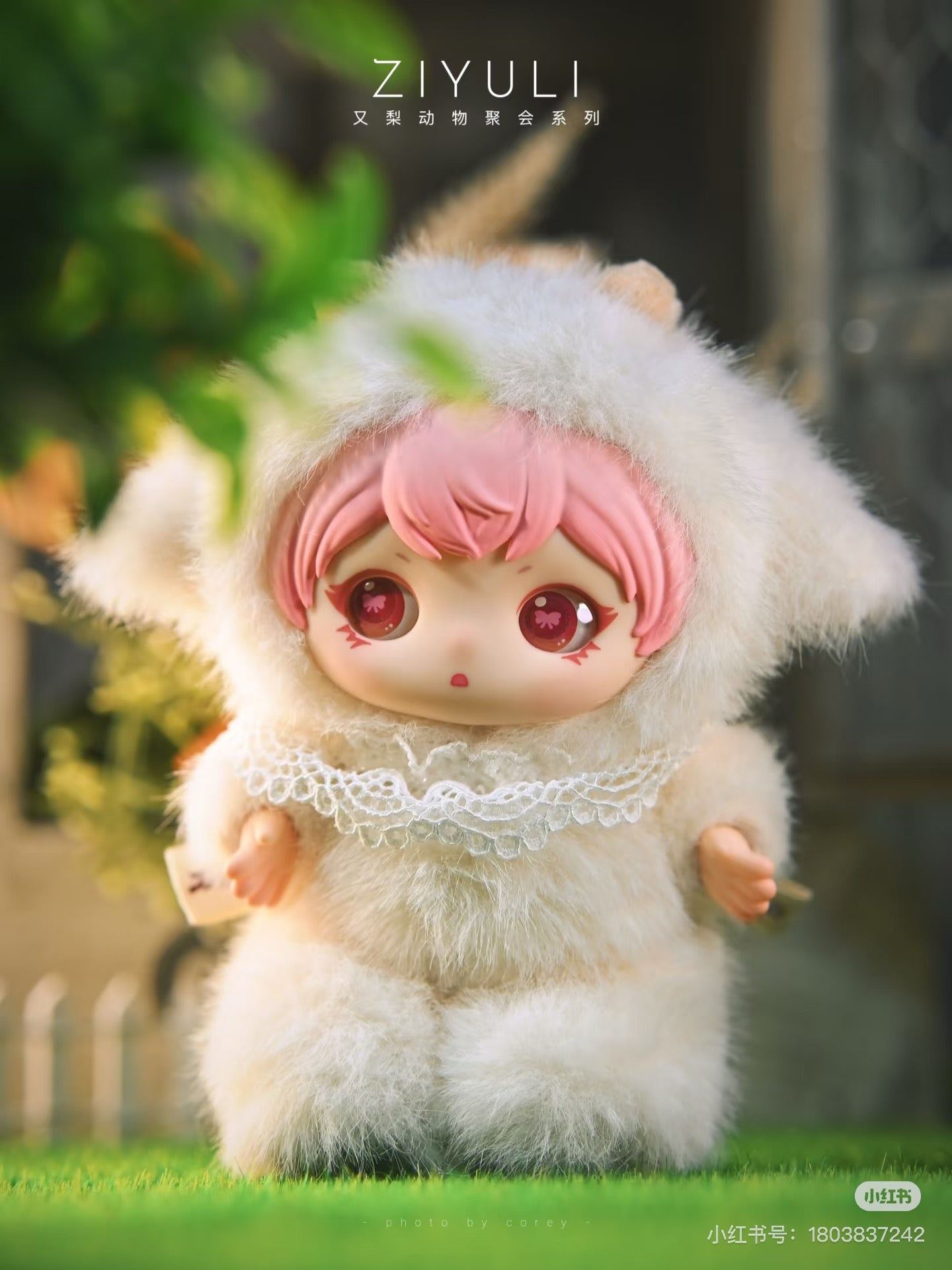 ziyuli animal