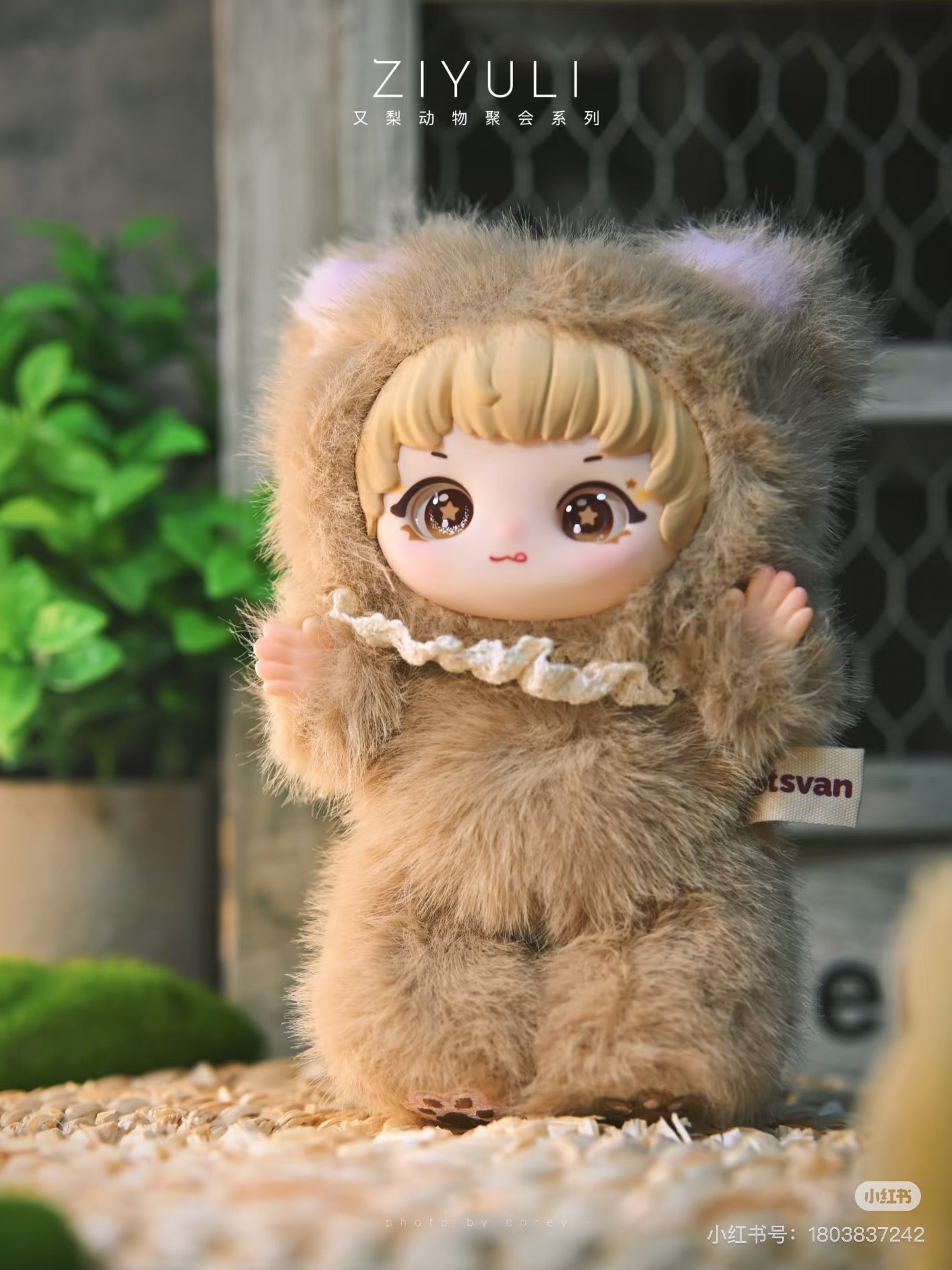 ziyuli animal