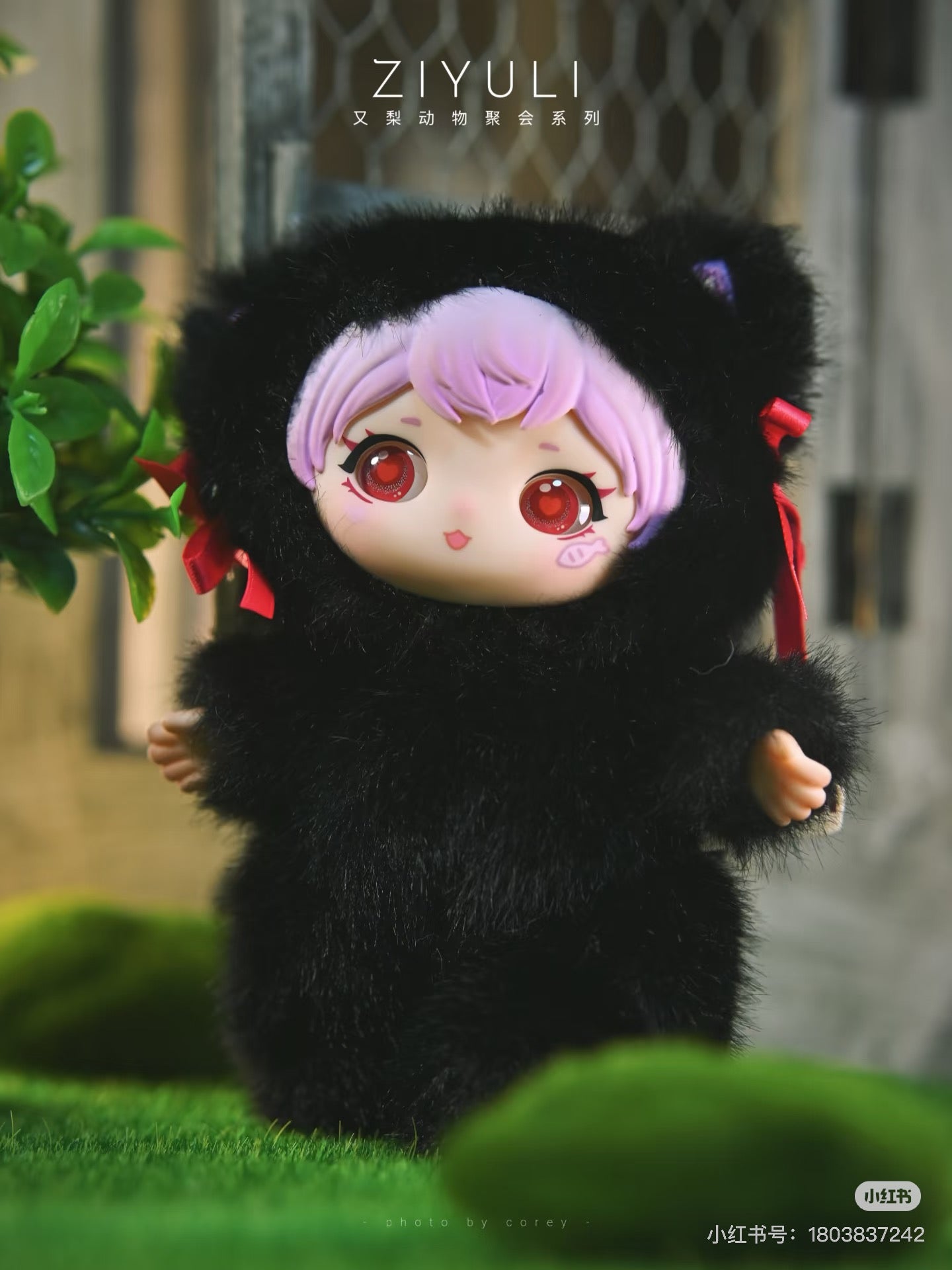 ziyuli animal