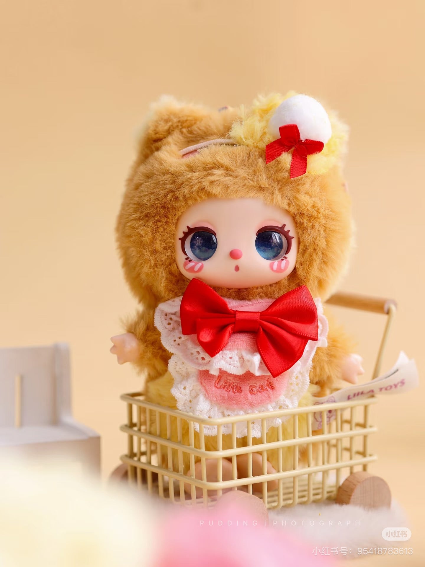 liila'schef kitten