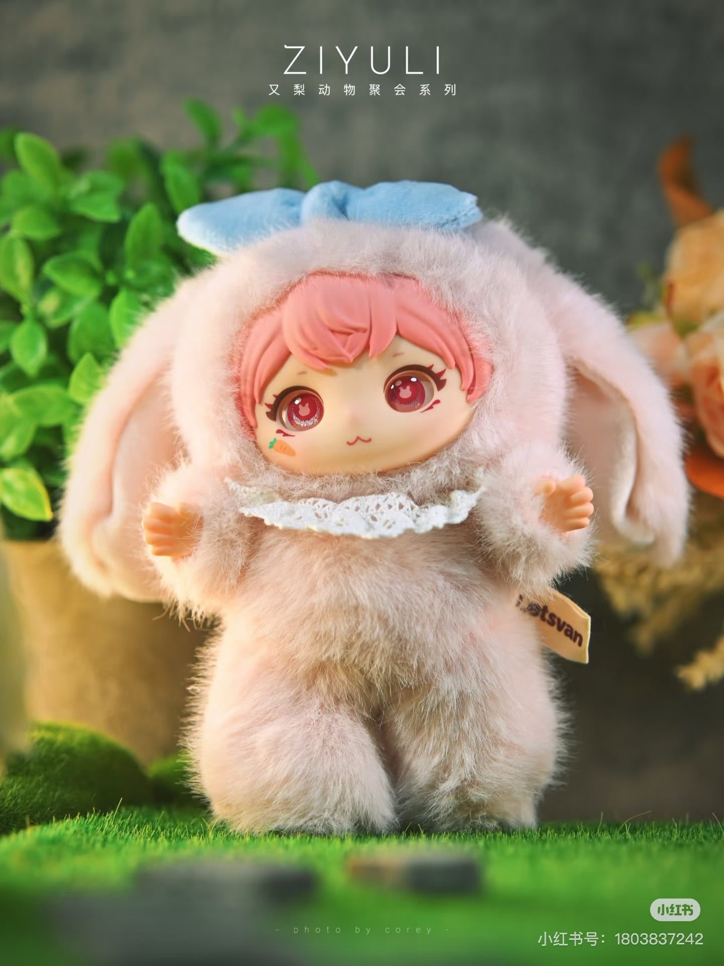ziyuli animal